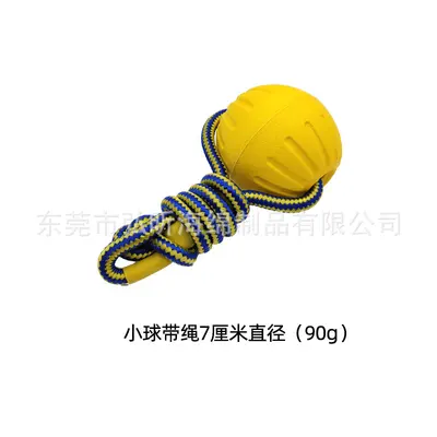 EVA Dog Toy Set with Floating Frisbee and Tug Ring - 8