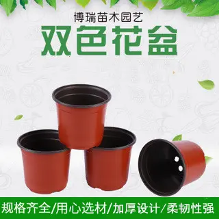 Two-Tone Succulent Pot, Soft PP Plastic Seedling Planter, Small