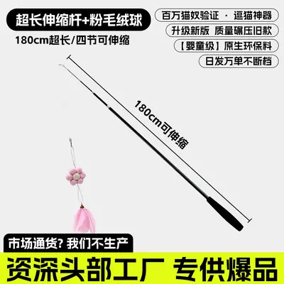 Long Retractable Cat Teaser Wand with Detachable Pole - 13