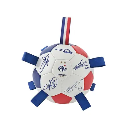 World Cup Football Interactive Dog Toy, Self-Play Energy-Burning Pet Toy - 7