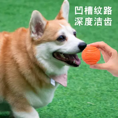 Flexible Rubber Dog Ball, Chew-Resistant, Fetch Training - 1