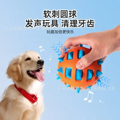 Large Dog Squeaker Ball Toy, Durable, Bite-Resistant