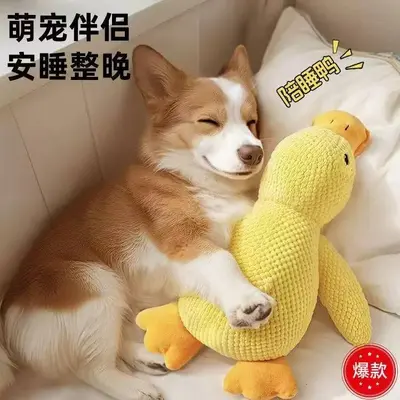 Plush Squeaky Dog Toy, Chew-Resistant Stuffed Figure for All Dog Sizes - 4