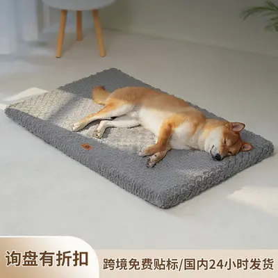 Washable Plush Dog Bed, Warm Winter Mat with Foam Egg-Crate Padding