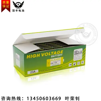 23A 12V Alkaline Battery for Remote Controls and Doorbells