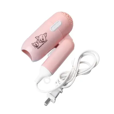 Cartoon Folding Mini Hair Dryer, Two Speed Settings, Portable