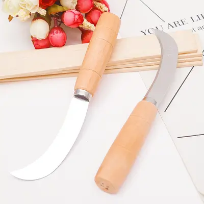 Pineapple and banana knife, curved blade, peeling and seed removal