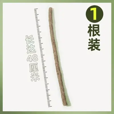 48 cm Long Stick Silvervine Cat Chew Toy with Catnip - 7