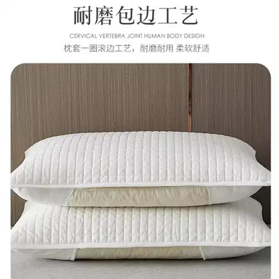 除螨隔脏防口水枕套防头油枕芯保护隔离层内胆套枕头套一对装防汗
