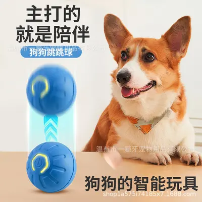 Bouncing Chew-Resistant Dog Ball Toy - 4