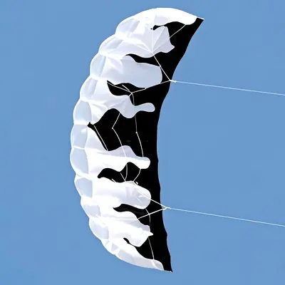 Weifang Soft Rainbow Umbrella Kite, Double-Line Stunt Kite - 12