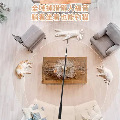 Long Retractable Feather Cat Teaser Wand