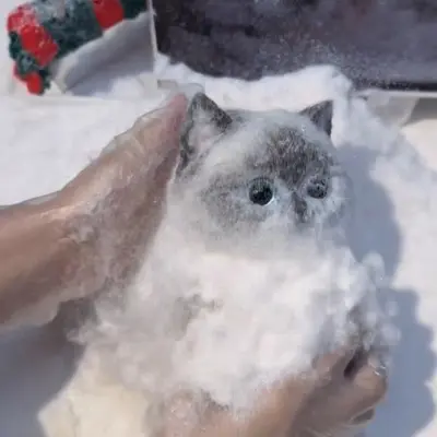 Hand-Painted Giant Chubby Cat Squishy Stress Relief Toy, DIY