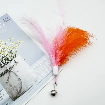 Feather Cat Teaser Wand Toy with Replacement Heads and Plush Pet Toy - 11