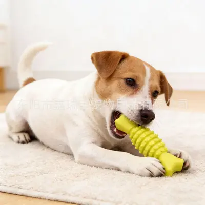 TPR Fish Bone Dog Chew Toy, Molar Stick - 3