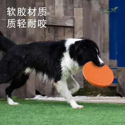 Weiche Hunde-Frisbee, schwimmfähig, bissfest - 5