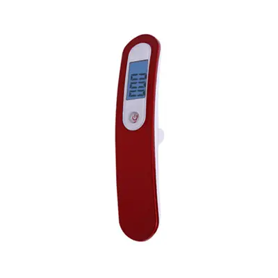 Portable Stainless Steel Luggage Scale, Digital Mini Scale - 10