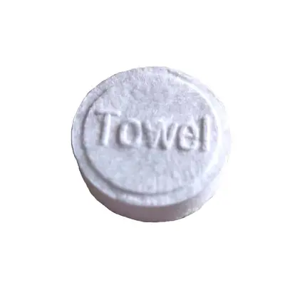 Compressed Disposable Face Towel, Travel Pack