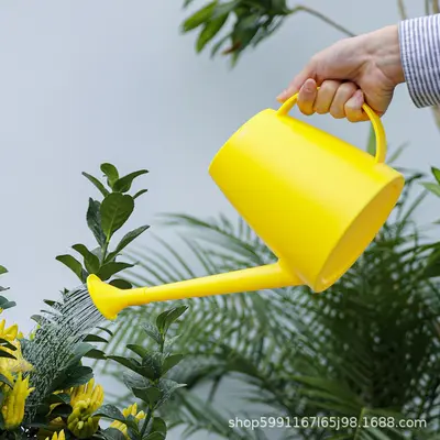 Long Spout Watering Can, Large Capacity, Thickened with Shower Head
