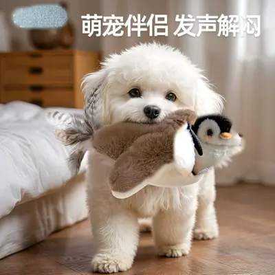 Squeaky Shaking Bird Dog Toy for Small Dogs and Puppies, Washable - 2