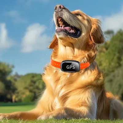 GPS-Tracking-Halsband zur Verlustprävention für Haustiere