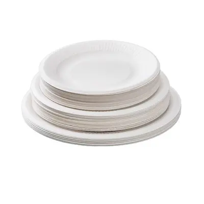 Disposable Eco-Friendly Paper Plates, Square and Oval, Picnic and BBQ - 6