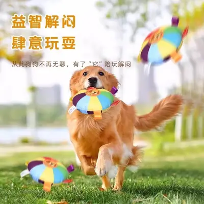 Dog Frisbee Training Disc for Border Collies and Small Dogs, Outdoor Toy - 3