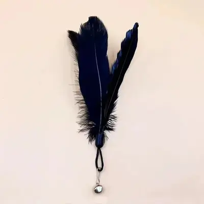 Cat Teaser Wand Long Pole Feather Replaceable Head, Bite Resistant - 12
