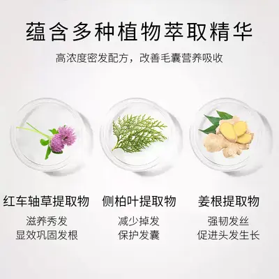 厂家直销防脱密发洗发水控油蓬松改善脱发养发柔顺生姜洗发水定制
