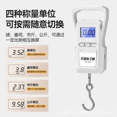 Portable electronic scale with built-in tape measure and hook