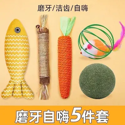 Cat Toy Set with Catnip Fish, Teaser Wand, Silvervine Chew Stick and Carrot - 9