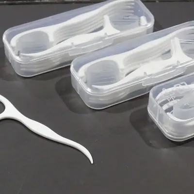 Boxed Dental Floss, 10 Pieces, Portable Floss Picks