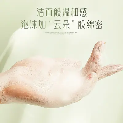 茶树精油洗发水露去屑柔顺控清爽油香味持久留香一件代发批发定制 - 4