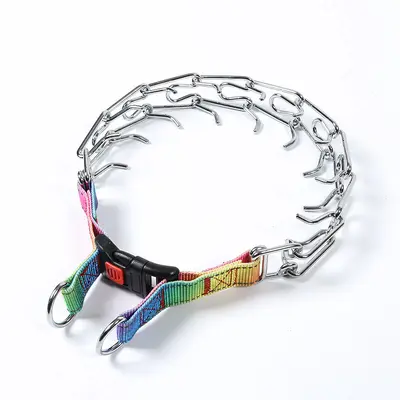 Abnehmbares Metall-Trainingshalsband für Hunde mit Eisenschnalle - 9