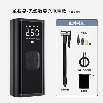 Dai Sheng air pump car air pump car air pump mini portable car tire inflator - 9