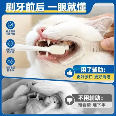 新款宠物洁牙辅助器猫咪狗狗牙齿清洁固定防咬宠物开口器口腔批发