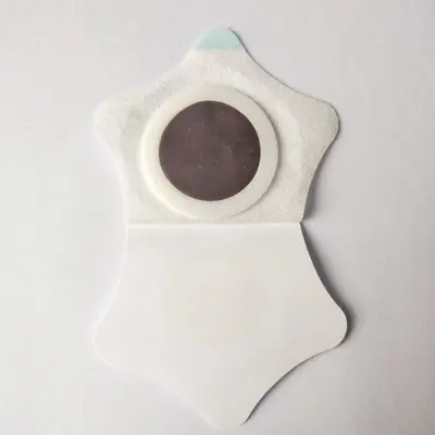 Honey Paste Navel Patch, Acupoint Health Patch, Internal Heat Relief - 4