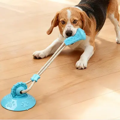 狗狗玩具吸盘耐咬磨牙边牧消耗体力跨境解闷自嗨小狗玩具宠物用品