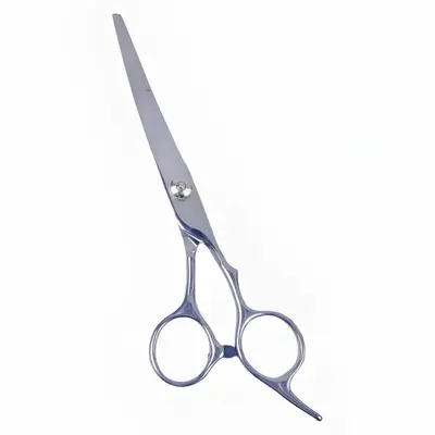 Professional Hair Scissors for Thinning and Bangs - 9