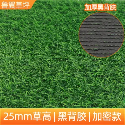 Kunstrasen für den Außenbereich, Kunststoff-Grasmatte - 9
