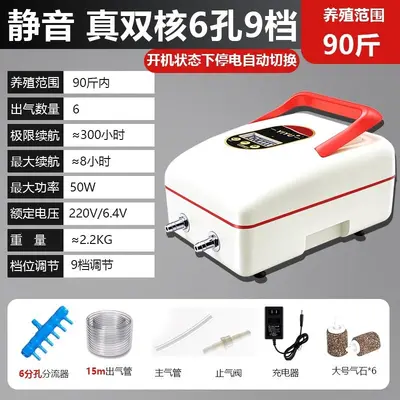 Rechargeable Outdoor Oxygen Pump, Lithium Battery, AC/DC Dual Power - 7