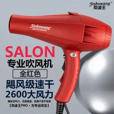 Jinbo Wang 9930 Professional Hair Dryer, Blue Light, Negative Ion - 13