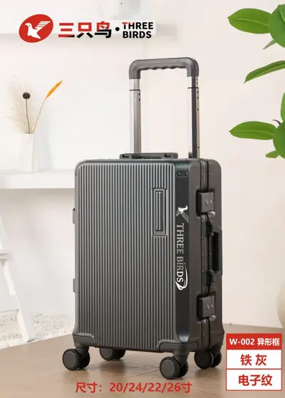 Durable 24-Inch Large-Capacity Trolley Suitcase - 13