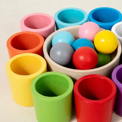 Cross-border Montessori early education ten-color sorting containers color recognition matching children's concentration training wooden educational toys - 5