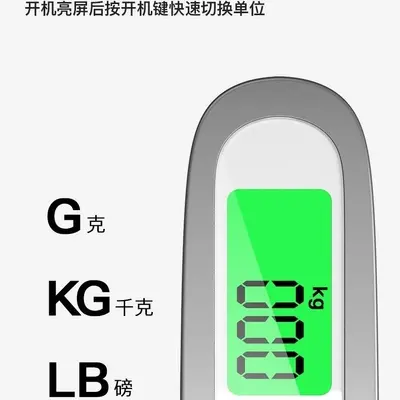 Portable electronic hanging scale 50kg