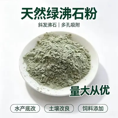 Klinoptilolit Zeolit Tozu ve Granül Atık Su Arıtımı için - 2