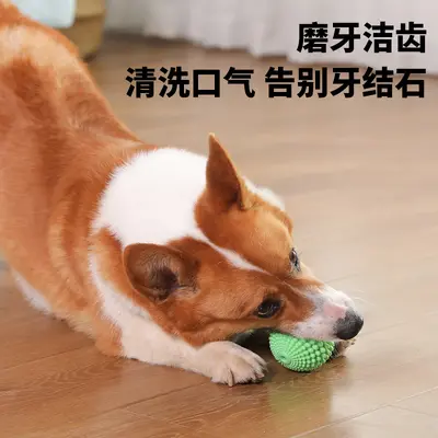 Squeaky Dog Ball Toy for Medium and Large Dogs, Durable Chew Resistant - 5