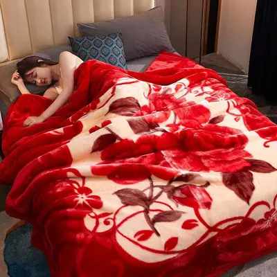 Double-Layer Thickened Raschel Blanket, Winter Warm Flannel Throw, Anti-Static - 13