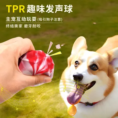 Dog Squeaky Ball Toy, Two-Color, Bite-Resistant, Interactive