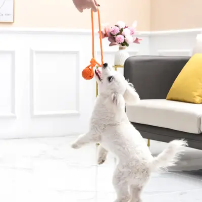 Reflective Rope Ball Dog Toy, Durable Chew and Training Toy